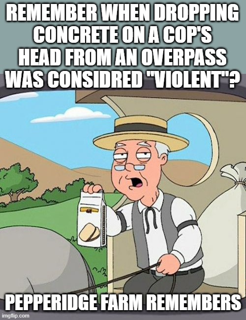 Pepperidge Farm Remembers | REMEMBER WHEN DROPPING CONCRETE ON A COP'S HEAD FROM AN OVERPASS WAS CONSIDRED "VIOLENT"? PEPPERIDGE FARM REMEMBERS | image tagged in memes,pepperidge farm remembers | made w/ Imgflip meme maker