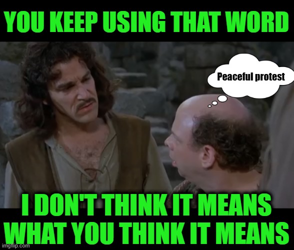 You keep using that word. | YOU KEEP USING THAT WORD; Peaceful protest; I DON'T THINK IT MEANS WHAT YOU THINK IT MEANS | image tagged in you keep using that word | made w/ Imgflip meme maker