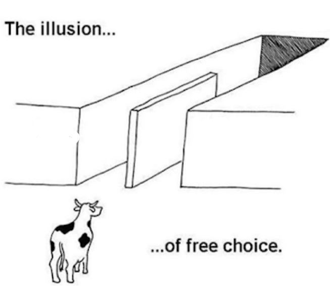 illusion of free choice Blank Meme Template