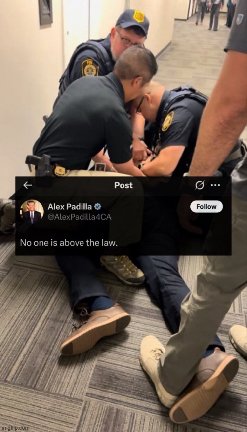 Figuratively Tried to Cross the Border of a Q&A Session Before the Port of Entry was Open and Found Out | image tagged in alex padilla,california | made w/ Imgflip meme maker