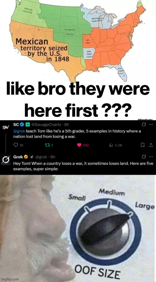 How to Use Grok with Sarcastic Flair | image tagged in oof size large | made w/ Imgflip meme maker