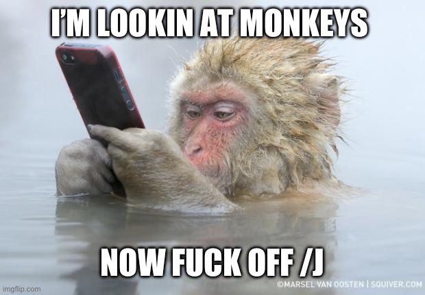 monkey mobile phone | I’M LOOKIN AT MONKEYS NOW FUCK OFF /J | image tagged in monkey mobile phone | made w/ Imgflip meme maker