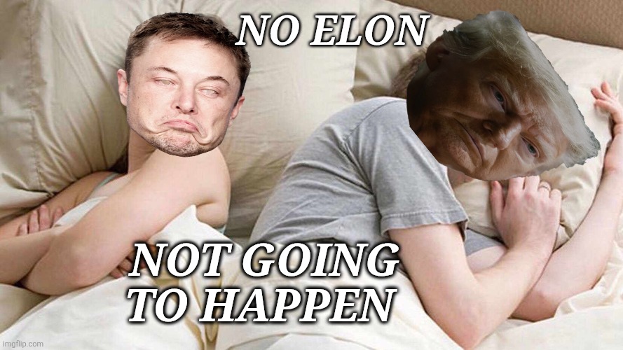 Please, Daddy? | NO ELON; NOT GOING TO HAPPEN | image tagged in memes,trump,elon musk,scorned,lover,maga | made w/ Imgflip meme maker