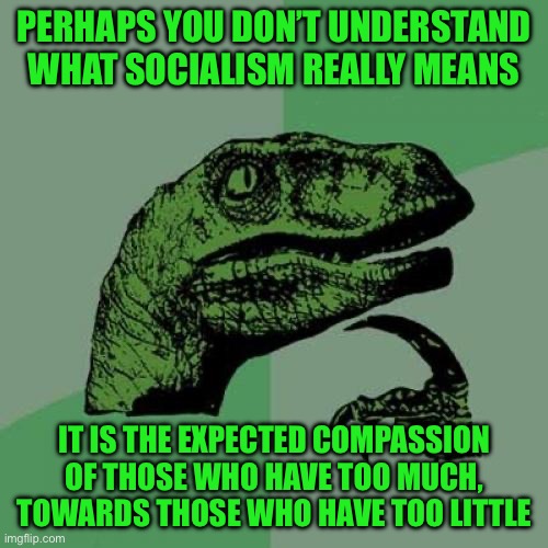 Philosoraptor | PERHAPS YOU DON’T UNDERSTAND WHAT SOCIALISM REALLY MEANS; IT IS THE EXPECTED COMPASSION OF THOSE WHO HAVE TOO MUCH, TOWARDS THOSE WHO HAVE TOO LITTLE | image tagged in memes,philosoraptor | made w/ Imgflip meme maker