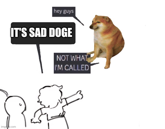 not what im called | IT'S SAD DOGE | image tagged in not what im called,cheems,doge | made w/ Imgflip meme maker