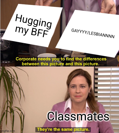 I am a chicken terrorist | Hugging my BFF; GAYYYY/LESBIANNNN; Classmates | image tagged in memes,they're the same picture | made w/ Imgflip meme maker
