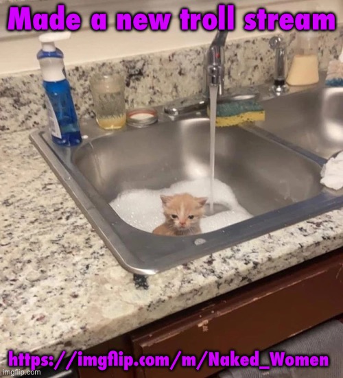 Go post in it in case any horny fuckers show up | Made a new troll stream; https://imgflip.com/m/Naked_Women | made w/ Imgflip meme maker