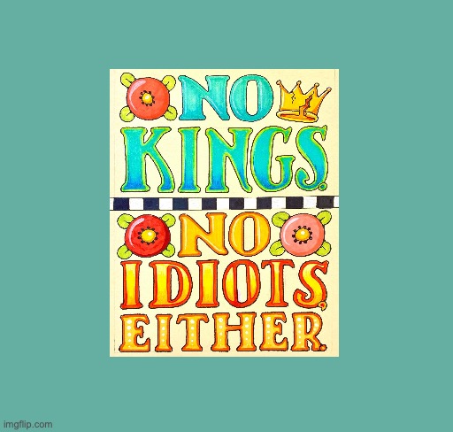 ME No Kings Profile Pic | image tagged in no kings me,no idiots me | made w/ Imgflip meme maker