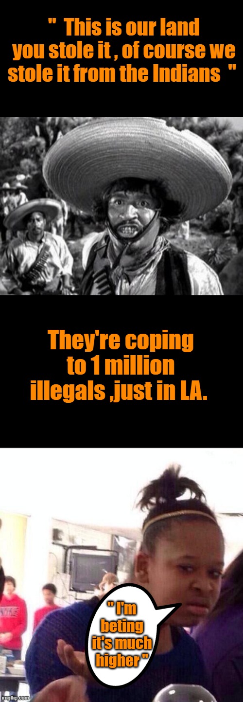 Mexico wasn't even a IND.country until after the US became a country . US 1776 ..  MEX. Sep 16, 1810 Spain ran the show PRIOR? | "  This is our land you stole it , of course we stole it from the Indians  "; They're coping to 1 million illegals ,just in LA. " I'm beting it's much higher " | image tagged in memes,black girl wat | made w/ Imgflip meme maker