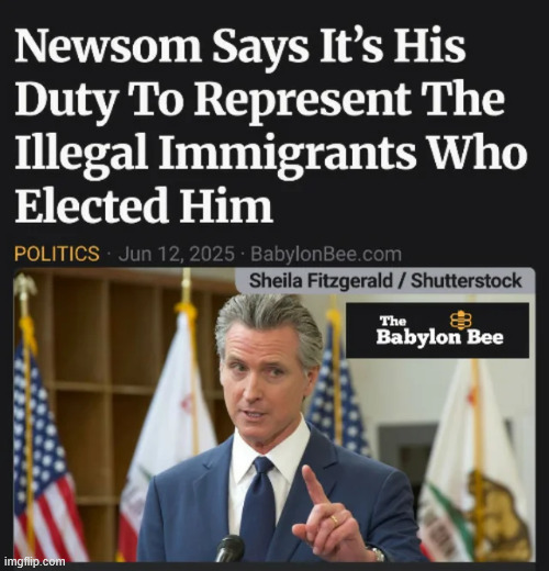 The Bee nails it again. | image tagged in political,reposts,the bee,nails it again | made w/ Imgflip meme maker