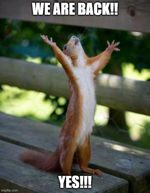 Happy Squirrel | WE ARE BACK!! YES!!! | image tagged in happy squirrel | made w/ Imgflip meme maker