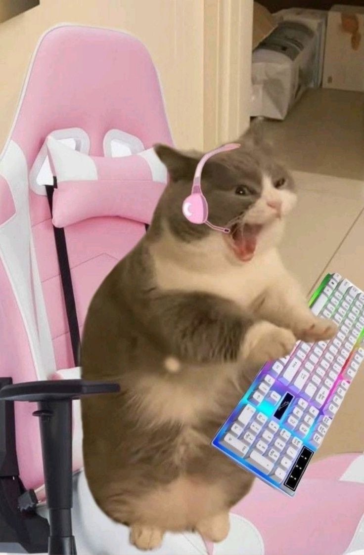 pink cute gamer girl cat Blank Meme Template