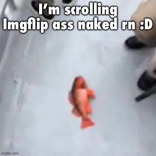 Jimmy here fish | I’m scrolling Imgflip ass naked rn :D | image tagged in jimmy here fish | made w/ Imgflip meme maker