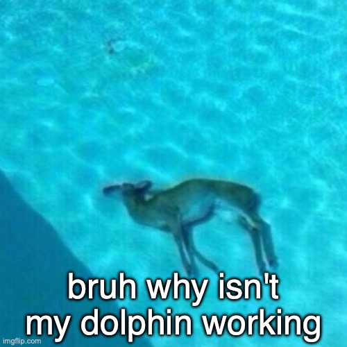Broken Dolphin | bruh why isn't my dolphin working | image tagged in broken dolphin | made w/ Imgflip meme maker