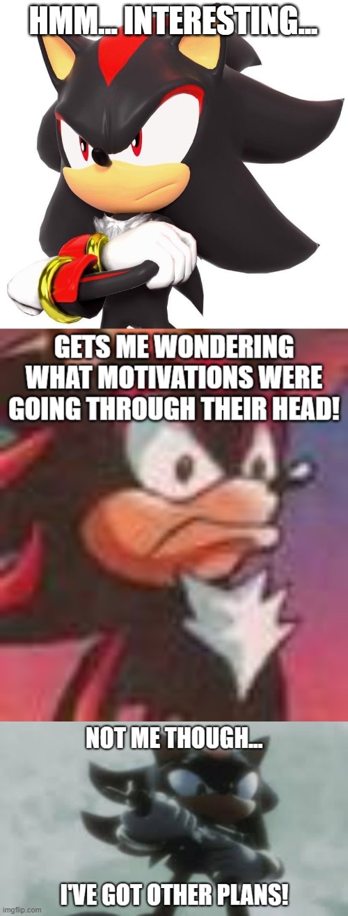 HMM... INTERESTING... | image tagged in shadow the hedgehog | made w/ Imgflip meme maker