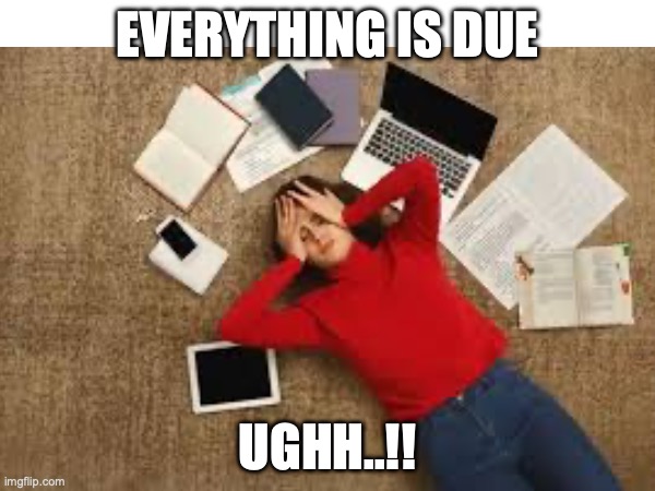 Overwhelmed | EVERYTHING IS DUE; UGHH..!! | image tagged in funny picture | made w/ Imgflip meme maker