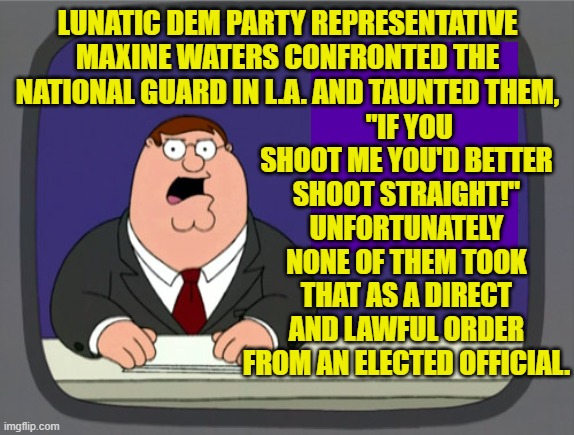 Still, the temptation must have been off the scale. | "IF YOU SHOOT ME YOU'D BETTER SHOOT STRAIGHT!" UNFORTUNATELY NONE OF THEM TOOK THAT AS A DIRECT AND LAWFUL ORDER FROM AN ELECTED OFFICIAL. LUNATIC DEM PARTY REPRESENTATIVE MAXINE WATERS CONFRONTED THE NATIONAL GUARD IN L.A. AND TAUNTED THEM, | image tagged in peter griffin news | made w/ Imgflip meme maker