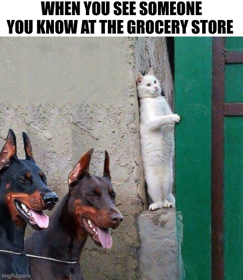 When You See Someone You Know At The Grocery Store | WHEN YOU SEE SOMEONE YOU KNOW AT THE GROCERY STORE | image tagged in chrisjoines1 | made w/ Imgflip meme maker
