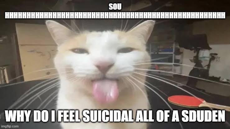 Milly the silly cat Bleh Cat | SOU HHHHHHHHHHHHHHHHHHHHHHHHHHHHHHHHHHHHHHHHHHHHHHHHHHH; WHY DO I FEEL SUICIDAL ALL OF A SDUDEN | image tagged in milly the silly cat bleh cat | made w/ Imgflip meme maker
