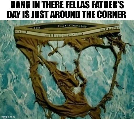 Hang In There Fellas Father's Day Is Just Around The Corner | HANG IN THERE FELLAS FATHER'S DAY IS JUST AROUND THE CORNER | image tagged in chrisjoines1 | made w/ Imgflip meme maker
