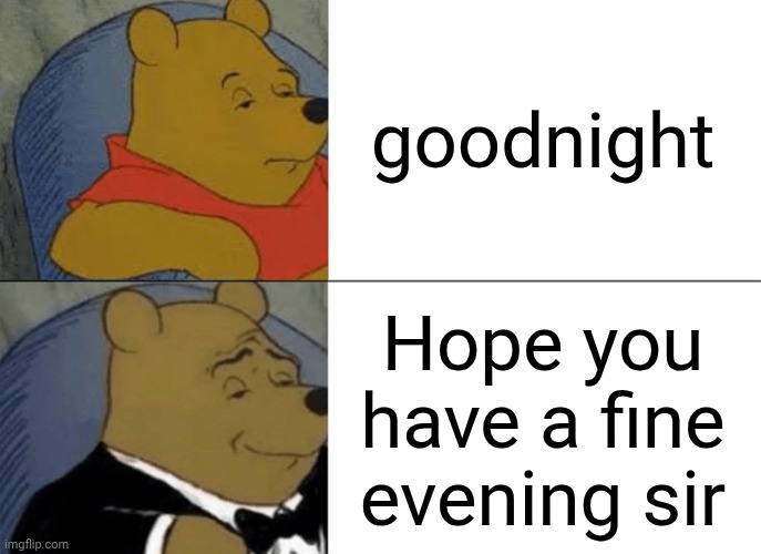 Tuxedo Winnie The Pooh | goodnight; Hope you have a fine evening sir | image tagged in memes,tuxedo winnie the pooh | made w/ Imgflip meme maker