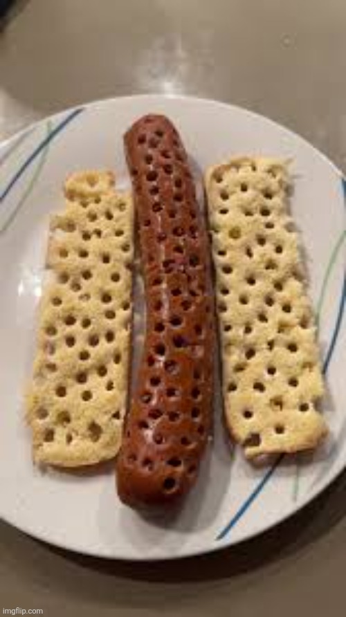 Hotdog | image tagged in hotdog | made w/ Imgflip meme maker