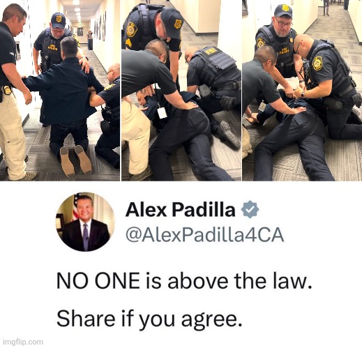 Thanks to AmericanViking | image tagged in memes,alex padilla,arrest,democrats,karma,above the law | made w/ Imgflip meme maker