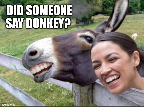 DID SOMEONE SAY DONKEY? | made w/ Imgflip meme maker