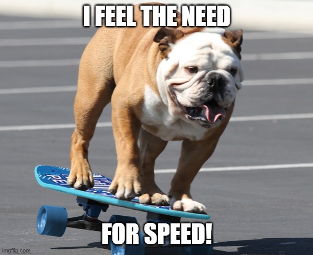 Skateboarding bulldog | I FEEL THE NEED; FOR SPEED! | image tagged in dogs,funny dogs,bulldog,speed,need for speed,skateboarding | made w/ Imgflip meme maker