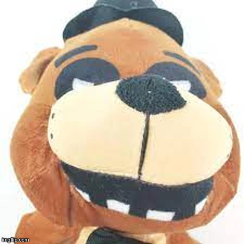 Freddy plush | image tagged in freddy plush | made w/ Imgflip meme maker