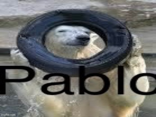 Pablo | image tagged in animals,memes | made w/ Imgflip meme maker