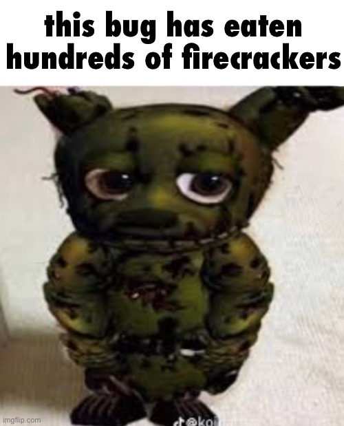 this bug has eaten hundreds of firecrackers | made w/ Imgflip meme maker