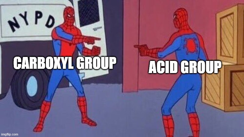 spiderman pointing at spiderman | CARBOXYL GROUP; ACID GROUP | image tagged in spiderman pointing at spiderman | made w/ Imgflip meme maker
