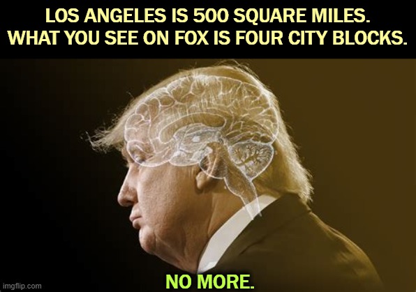 Trump's brain is failing. His body is failing. There's no guarantee he'll make it through a full term. He's old. | LOS ANGELES IS 500 SQUARE MILES. WHAT YOU SEE ON FOX IS FOUR CITY BLOCKS. NO MORE. | image tagged in trump with the place outlined that his brain ought to be,trump,health,mental health,senile dementia,failing | made w/ Imgflip meme maker