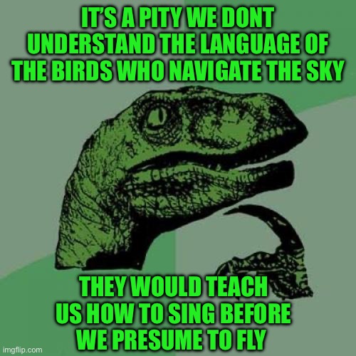 Philosoraptor Meme | IT’S A PITY WE DONT UNDERSTAND THE LANGUAGE OF THE BIRDS WHO NAVIGATE THE SKY; THEY WOULD TEACH US HOW TO SING BEFORE WE PRESUME TO FLY | image tagged in memes,philosoraptor | made w/ Imgflip meme maker