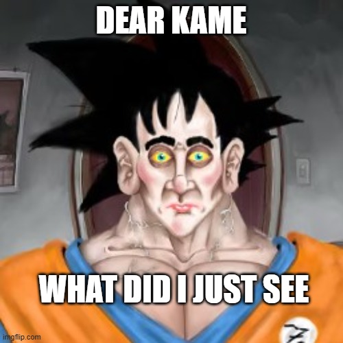 meatcanyon goku | DEAR KAME WHAT DID I JUST SEE | image tagged in meatcanyon goku | made w/ Imgflip meme maker