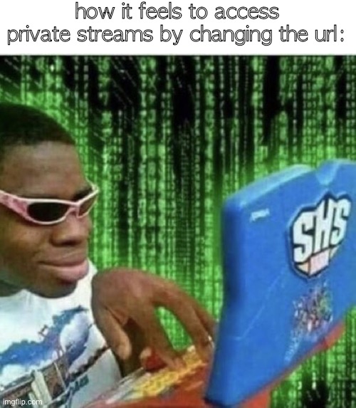 Ryan Beckford | how it feels to access private streams by changing the url: | image tagged in ryan beckford | made w/ Imgflip meme maker
