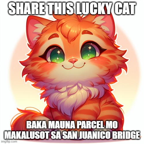 cute cat smiling smugly | SHARE THIS LUCKY CAT; BAKA MAUNA PARCEL MO MAKALUSOT SA SAN JUANICO BRIDGE | image tagged in cute cat smiling smugly | made w/ Imgflip meme maker