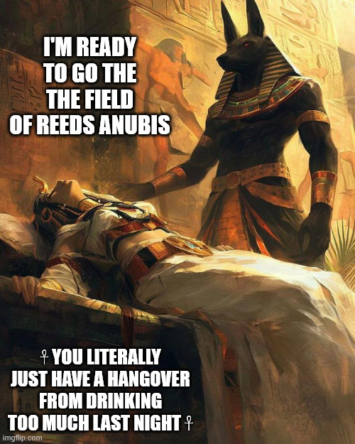 It's not your time | I'M READY TO GO THE THE FIELD OF REEDS ANUBIS; 𓋹 YOU LITERALLY JUST HAVE A HANGOVER FROM DRINKING TOO MUCH LAST NIGHT 𓋹 | image tagged in egypt,ancient egypt | made w/ Imgflip meme maker