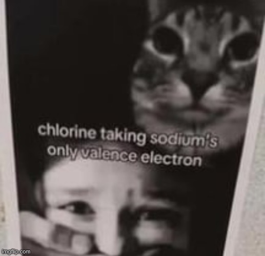 I’m alive | made w/ Imgflip meme maker