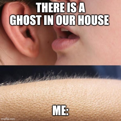 POV:Your GF tell you there is a ghost in your house | THERE IS A GHOST IN OUR HOUSE; ME: | image tagged in whisper and goosebumps | made w/ Imgflip meme maker