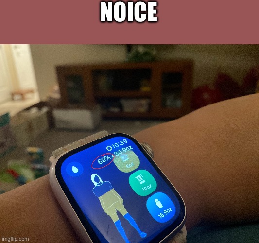 69 | NOICE | image tagged in 69 | made w/ Imgflip meme maker
