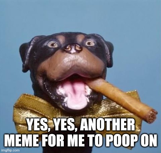 Triumph the Insult Comic Dog | YES, YES, ANOTHER MEME FOR ME TO POOP ON | image tagged in triumph the insult comic dog | made w/ Imgflip meme maker