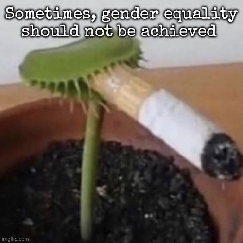 Before anyone calls me a sexist, look at the first word | Sometimes, gender equality should not be achieved | image tagged in plant weeds,msmg | made w/ Imgflip meme maker