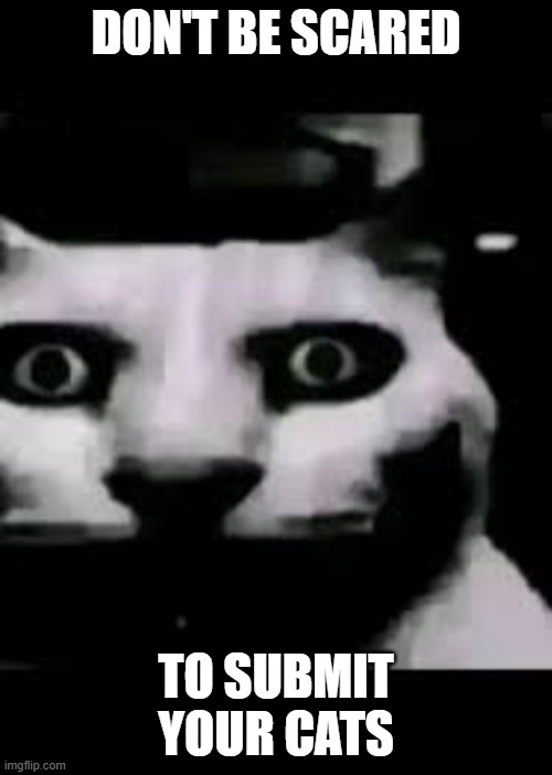 friday 13th cats timesheet reminder | DON'T BE SCARED; TO SUBMIT YOUR CATS | image tagged in cats reminder,cats,friday the 13th | made w/ Imgflip meme maker