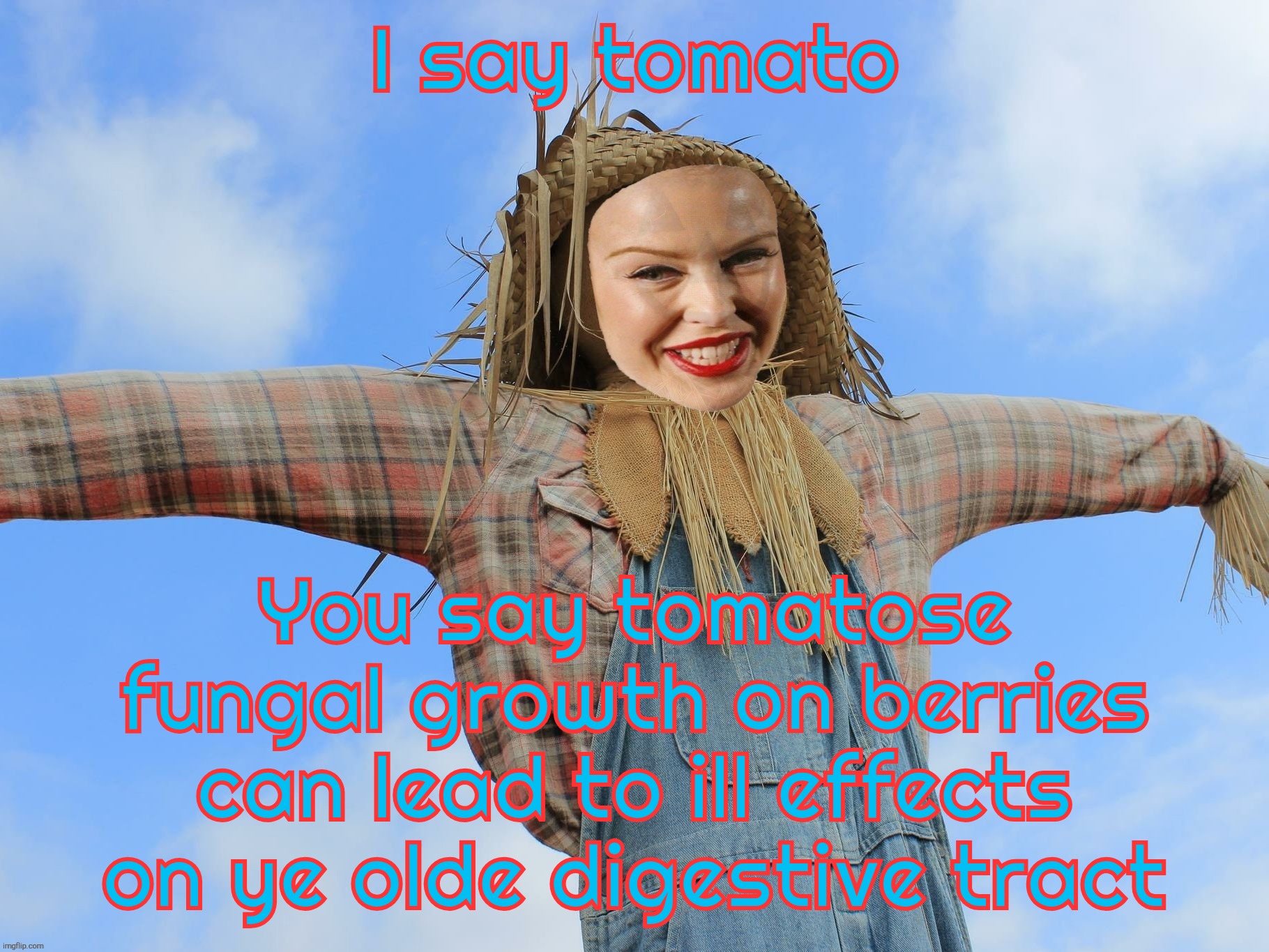 If it wasn't for Strawman arguments, MAGAts wouldn't have any arguments at all | I say tomato; You say tomatose fungal growth on berries can lead to ill effects on ye olde digestive tract | image tagged in kylie strawman,i say tomato you say tomatose,magats love logical fallacies,because they have no logic,addicted to lies,derp | made w/ Imgflip meme maker