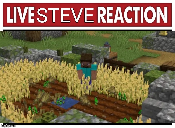 POV:You're in the news | STEVE; POV:You're in the news | image tagged in live reaction | made w/ Imgflip meme maker