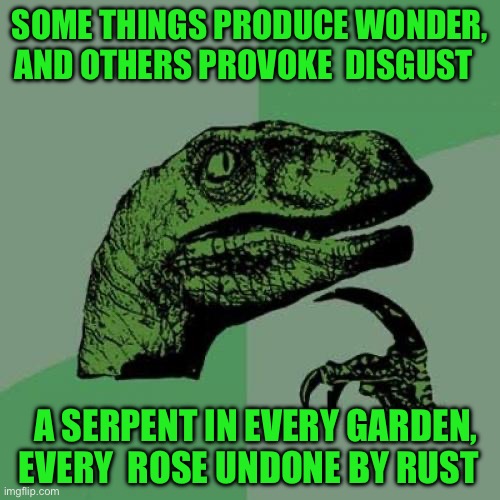 Philosoraptor | SOME THINGS PRODUCE WONDER, AND OTHERS PROVOKE  DISGUST; A SERPENT IN EVERY GARDEN, EVERY  ROSE UNDONE BY RUST | image tagged in memes,philosoraptor | made w/ Imgflip meme maker