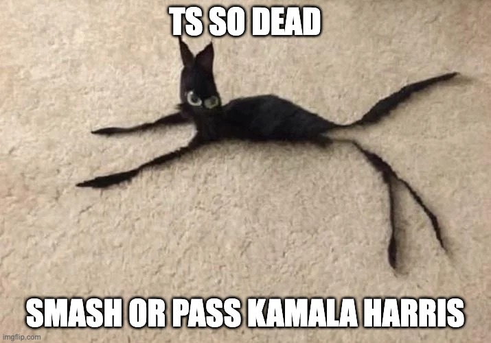 goodnight | TS SO DEAD; SMASH OR PASS KAMALA HARRIS | image tagged in gato flaco | made w/ Imgflip meme maker