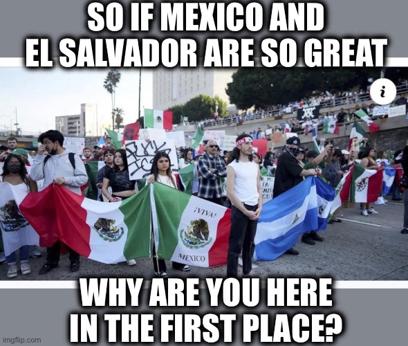 Not one American flag at these “protests” | SO IF MEXICO AND EL SALVADOR ARE SO GREAT; WHY ARE YOU HERE IN THE FIRST PLACE? | image tagged in california,illegal aliens,mexico,los angeles,gavin,democrats | made w/ Imgflip meme maker